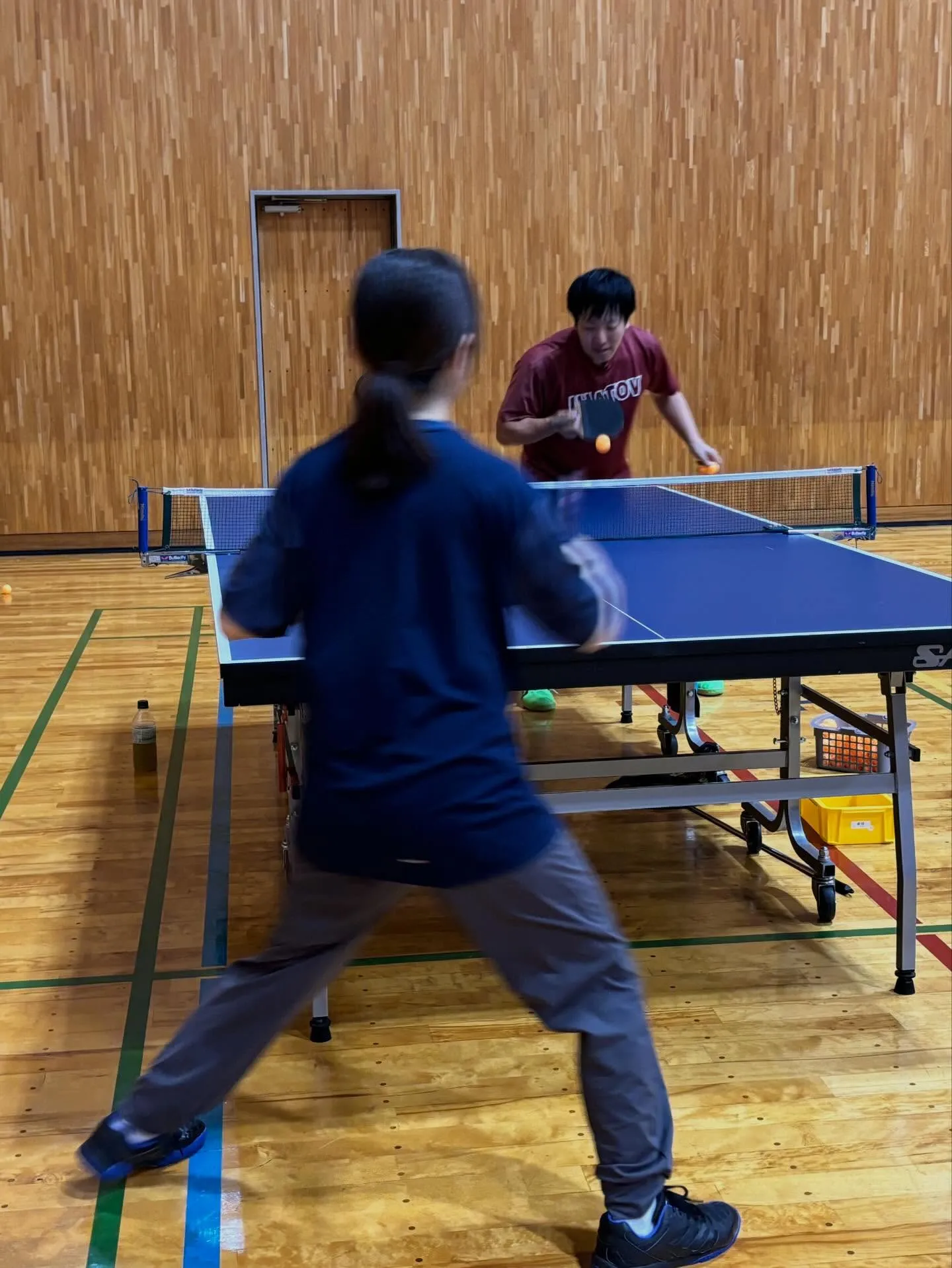 【初心者社会人、ジュニア向け】（敷居低め・安心感）